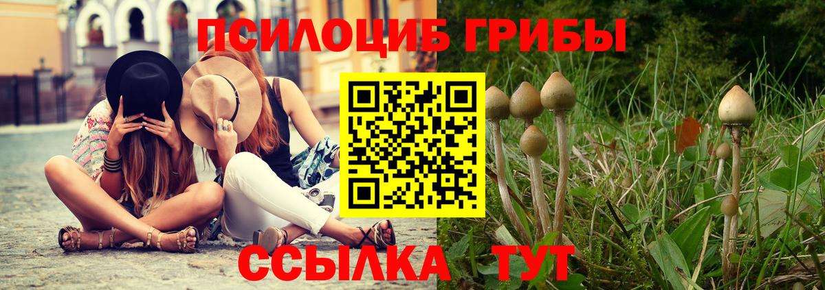 Псилоцибиновые грибы GOLDEN TEACHER Добрянка